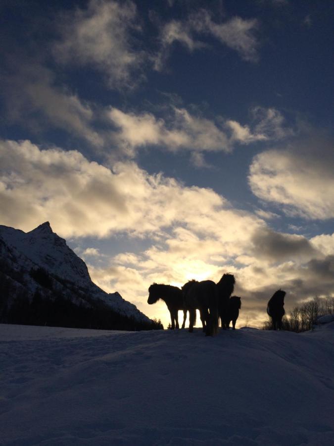 Flo Lofoten Nature Escape Valberg Esterno foto
